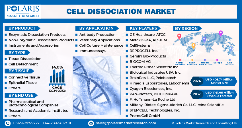 Cell Dissociation Market Size